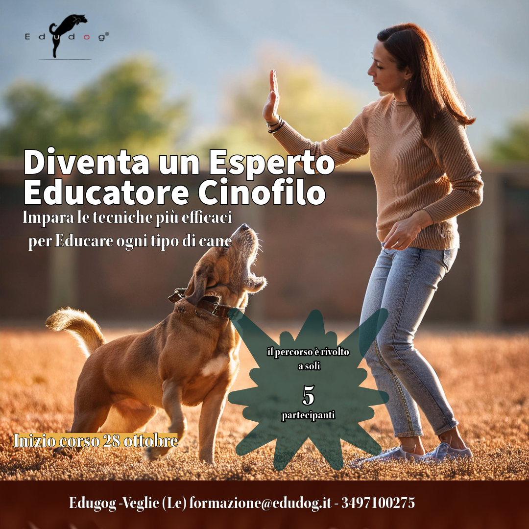 Corso Educatore